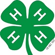 4-H CLUB